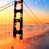 //luna-site.gportal.hu/portal/luna-site/image/gallery/1272463442_83.png