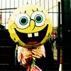 //luna-site.gportal.hu/portal/luna-site/image/gallery/1278189154_88.png